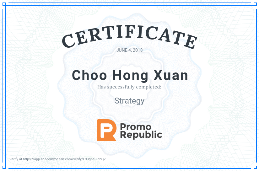 PromoRepublic certificate: Strategy