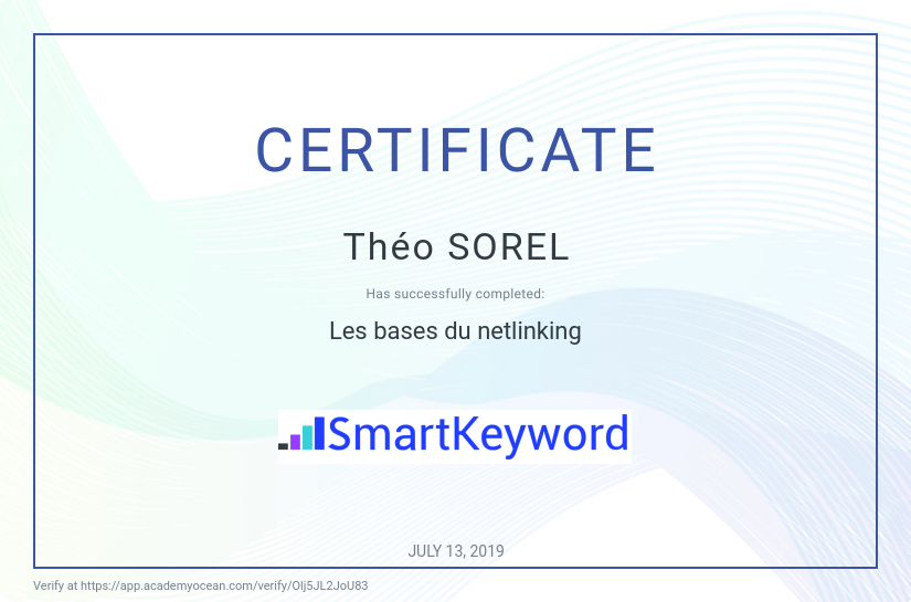 SmartKeyword certificate: Netlinking