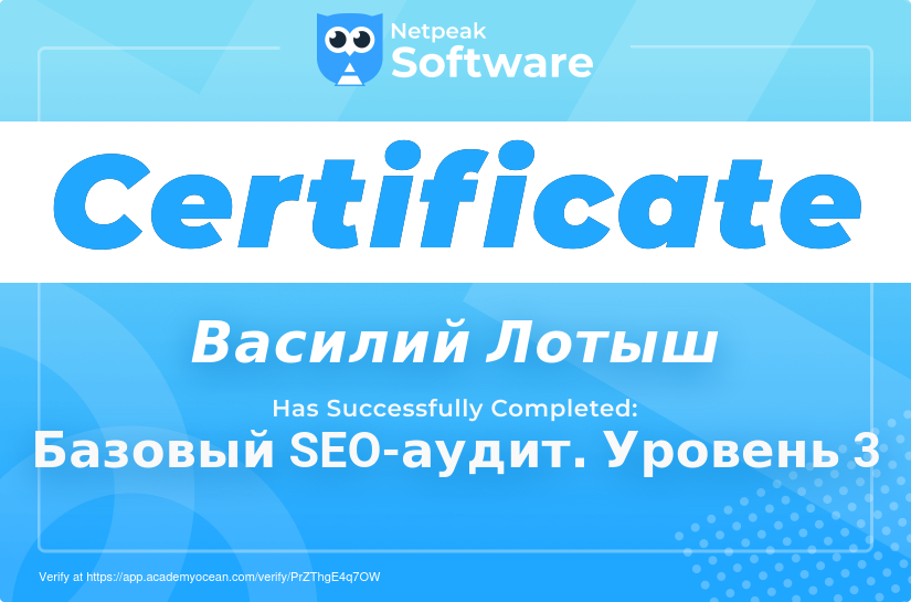 Netpeak Software certificate: Базовый SEO-аудит. Уровень 3
