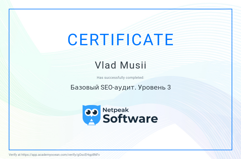 Netpeak Software certificate: Базовый SEO-аудит. Уровень 3